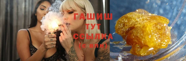 индика Абинск