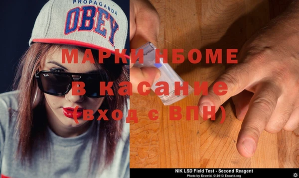 индика Абинск