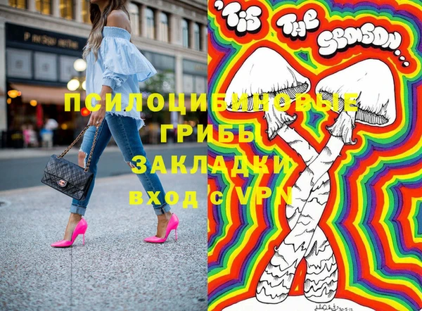индика Абинск