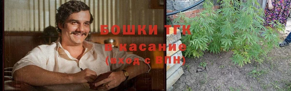 индика Абинск