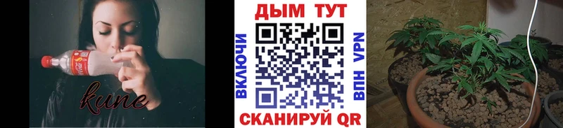 ОМГ ОМГ ТОР  Правдинск  Бошки Шишки семена  купить  сайты 